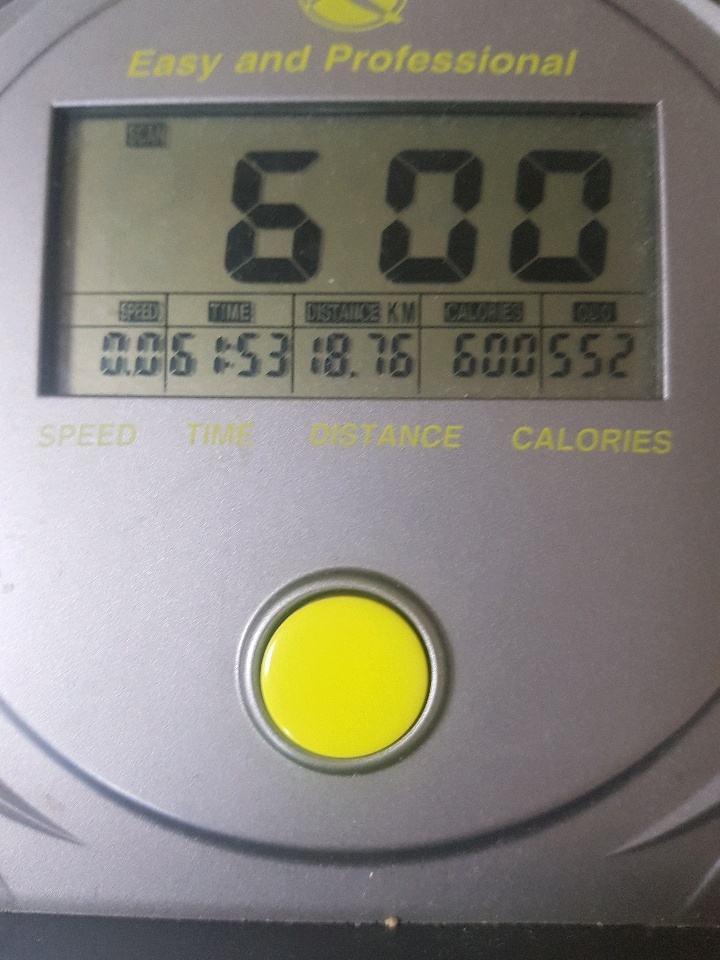 12월 31일( 운동 636kcal)