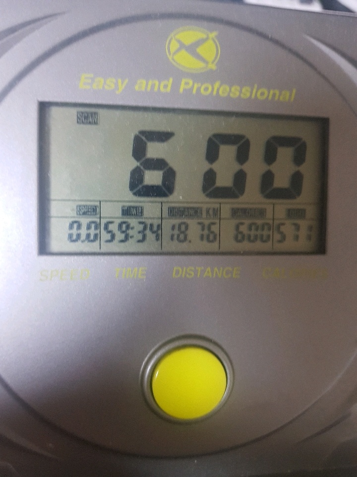 01월 02일( 운동 636kcal)