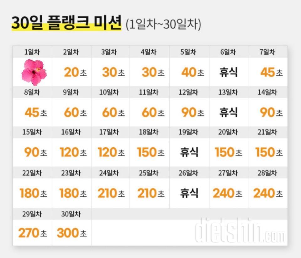 30일 플랭크1일차 성공!