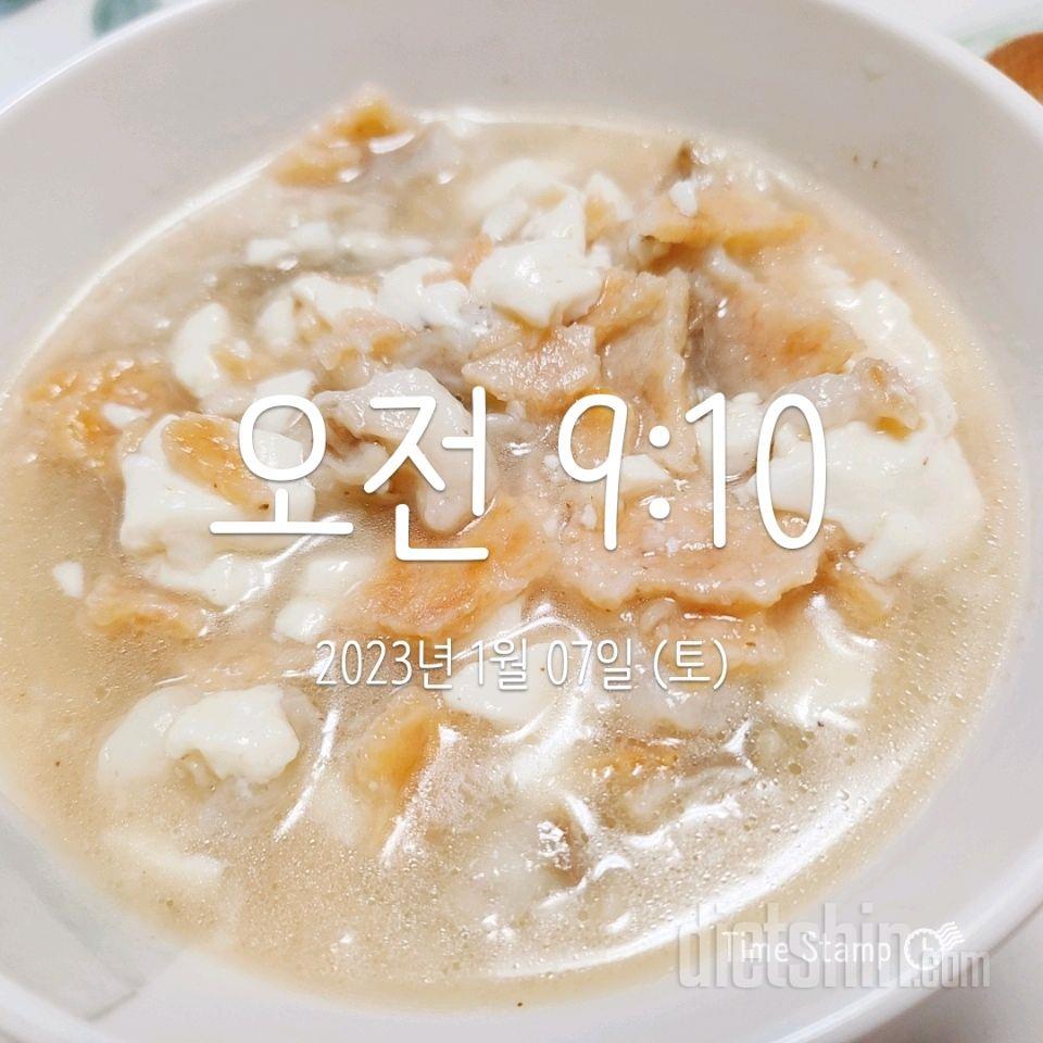 [다신 17기] 6일차 + 식단,체지방