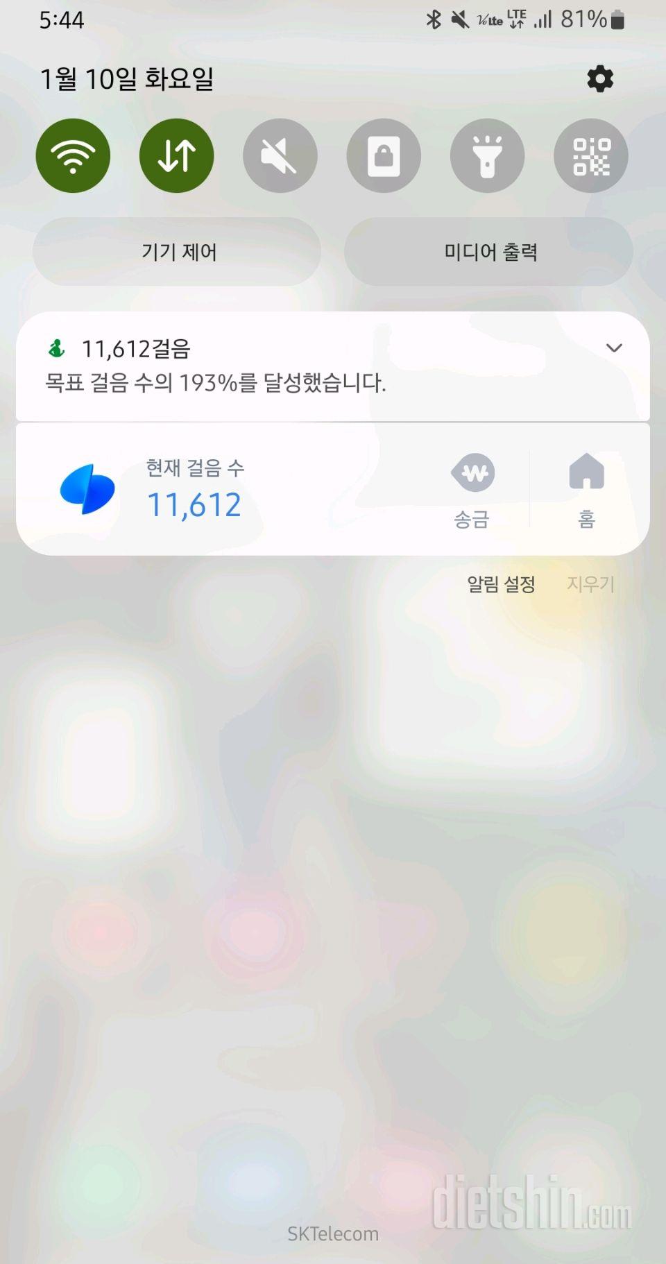 [다신17기] 7일차 운동 : 만천보 걷기