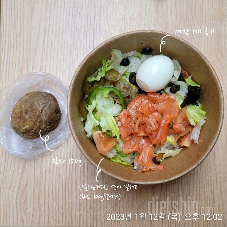 [다신 17기] 12일차 식단+운동 (중간체크)