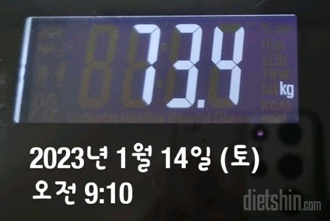 7일 아침 몸무게 재기11일차 성공!