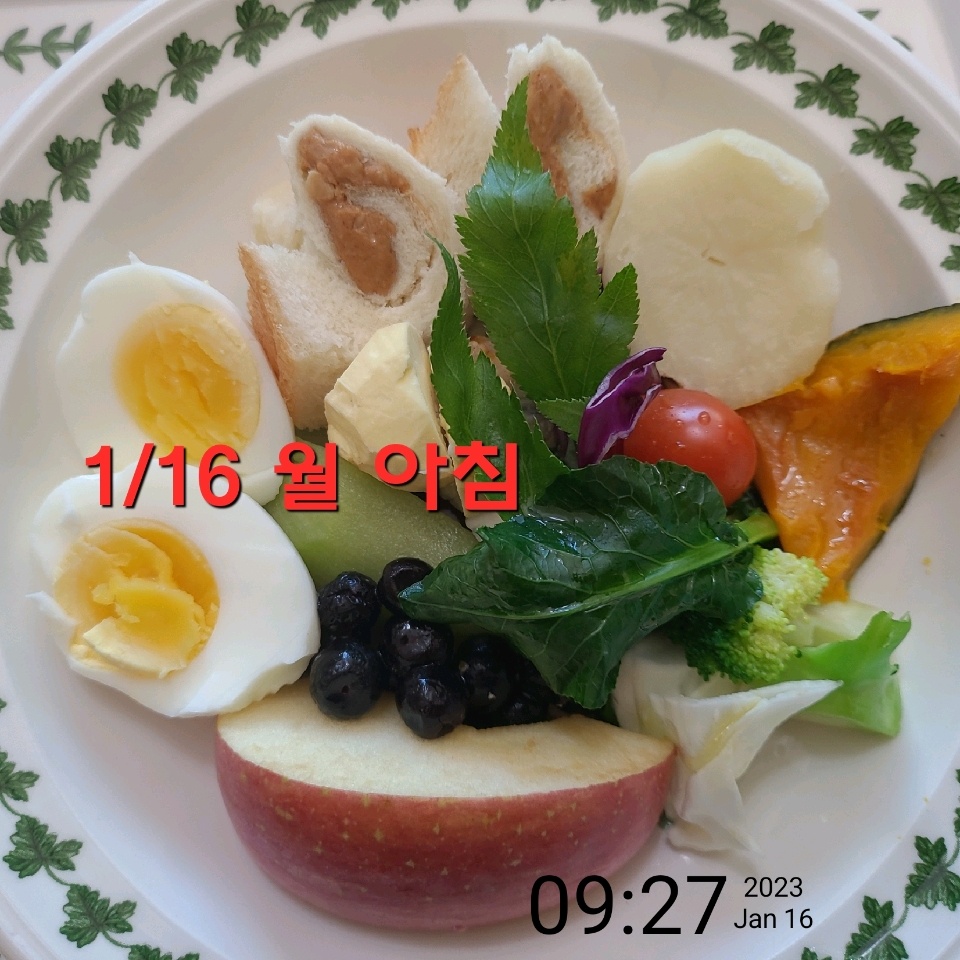 01월 16일( 아침식사 364kcal)