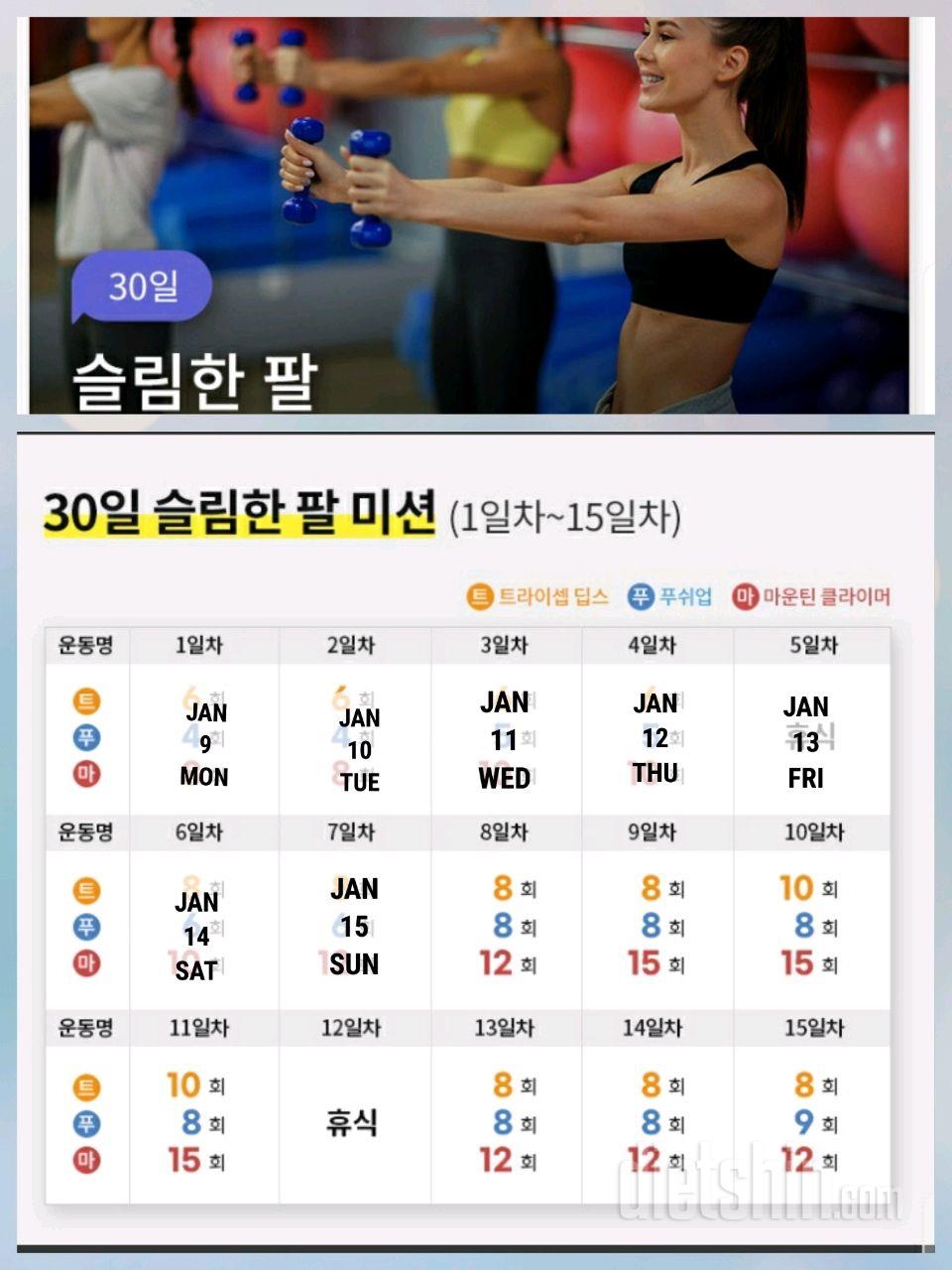 30일 슬림한 팔247일차 성공!