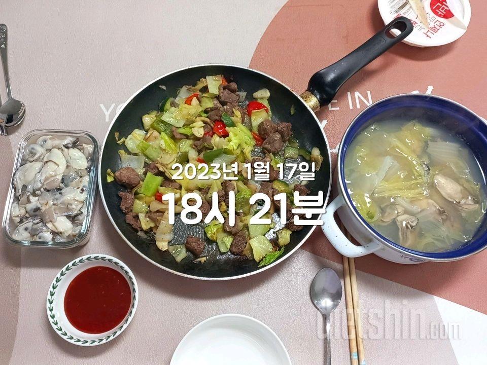 [다신17기] 17일차 식단 운동.