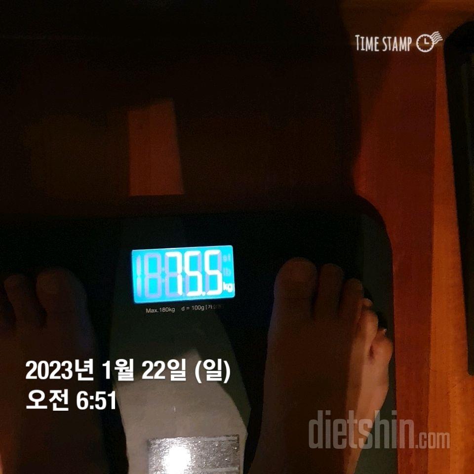 7일 아침 몸무게 재기7일차 성공!