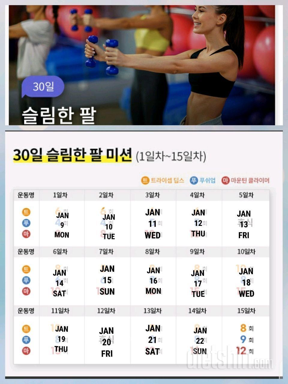 30일 슬림한 팔254일차 성공!