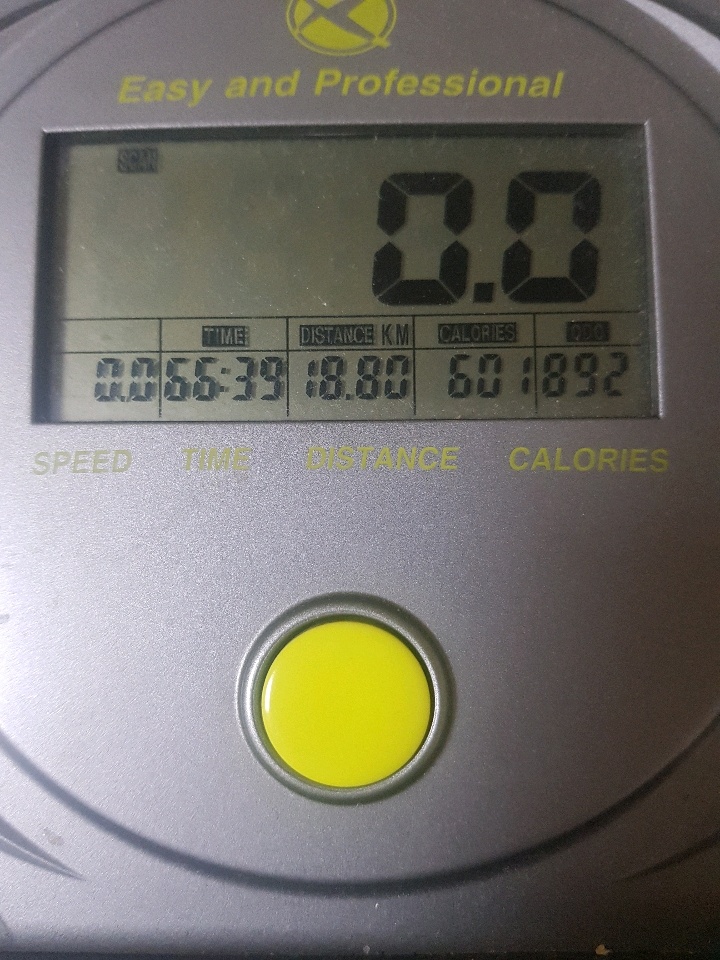 02월 01일( 운동 636kcal)