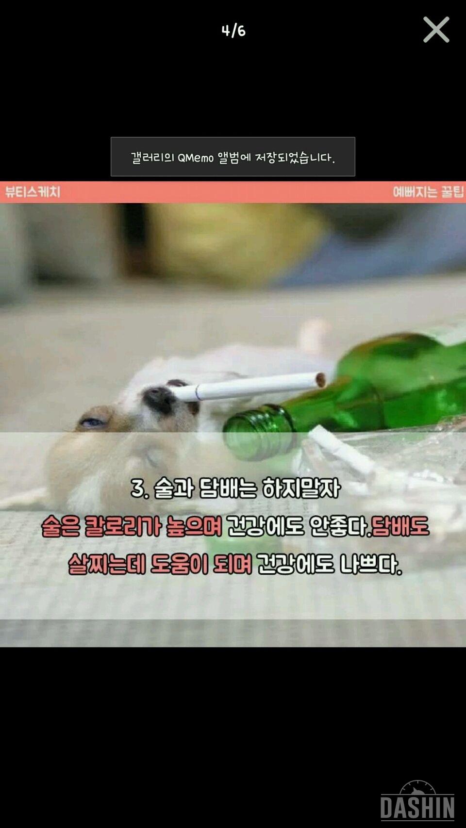 다이어트성공 Tip.