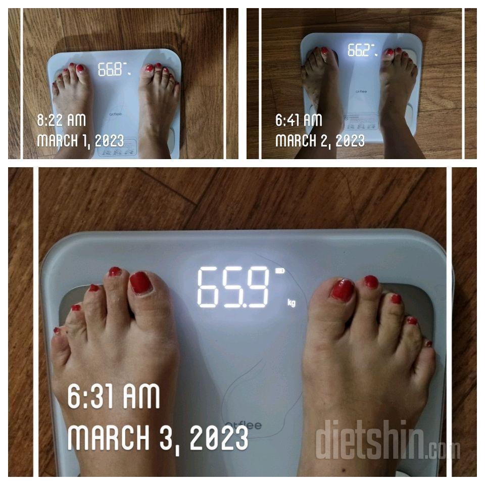 [다신18기] 3일차 : 체중변화/식단/운동