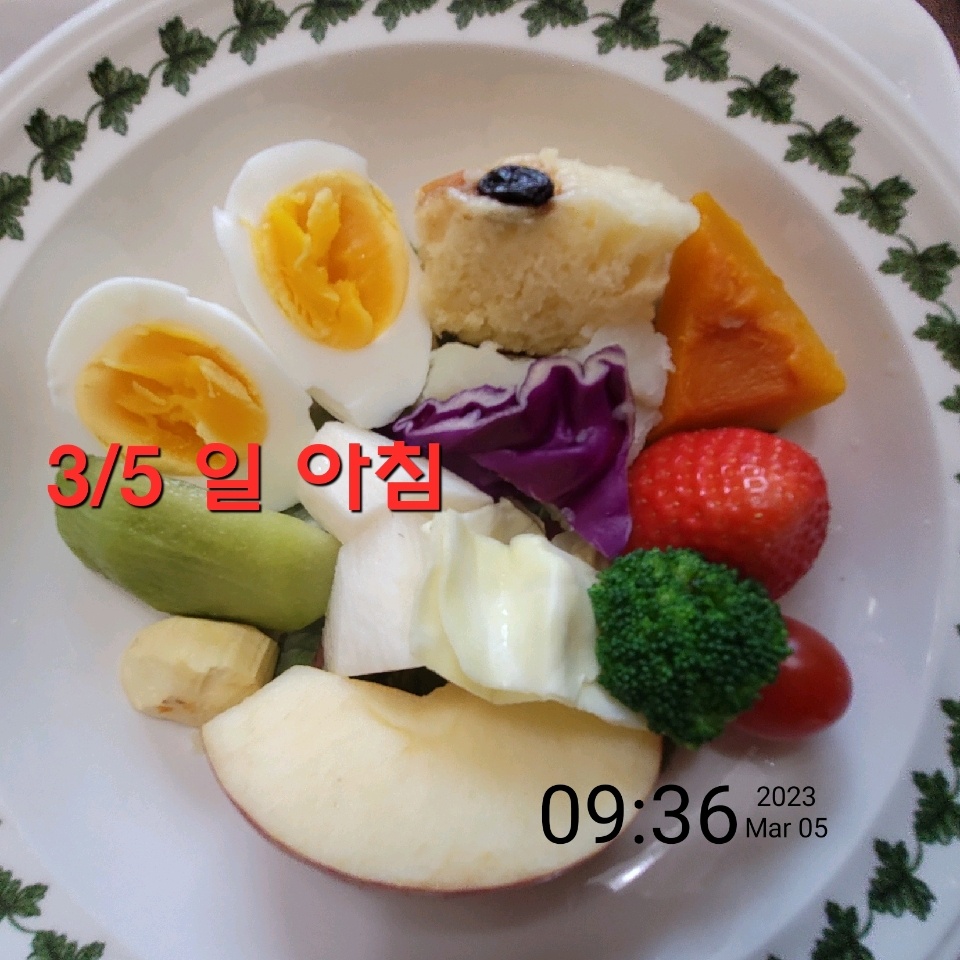 03월 05일( 아침식사 279kcal)