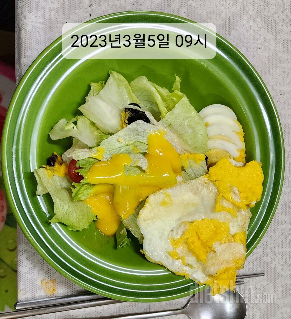 [다신18기]  1일차 샐러드 식단 인증사진