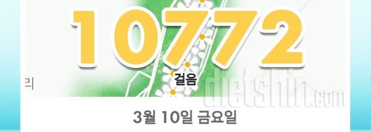 30일 만보 걷기3일차 성공!