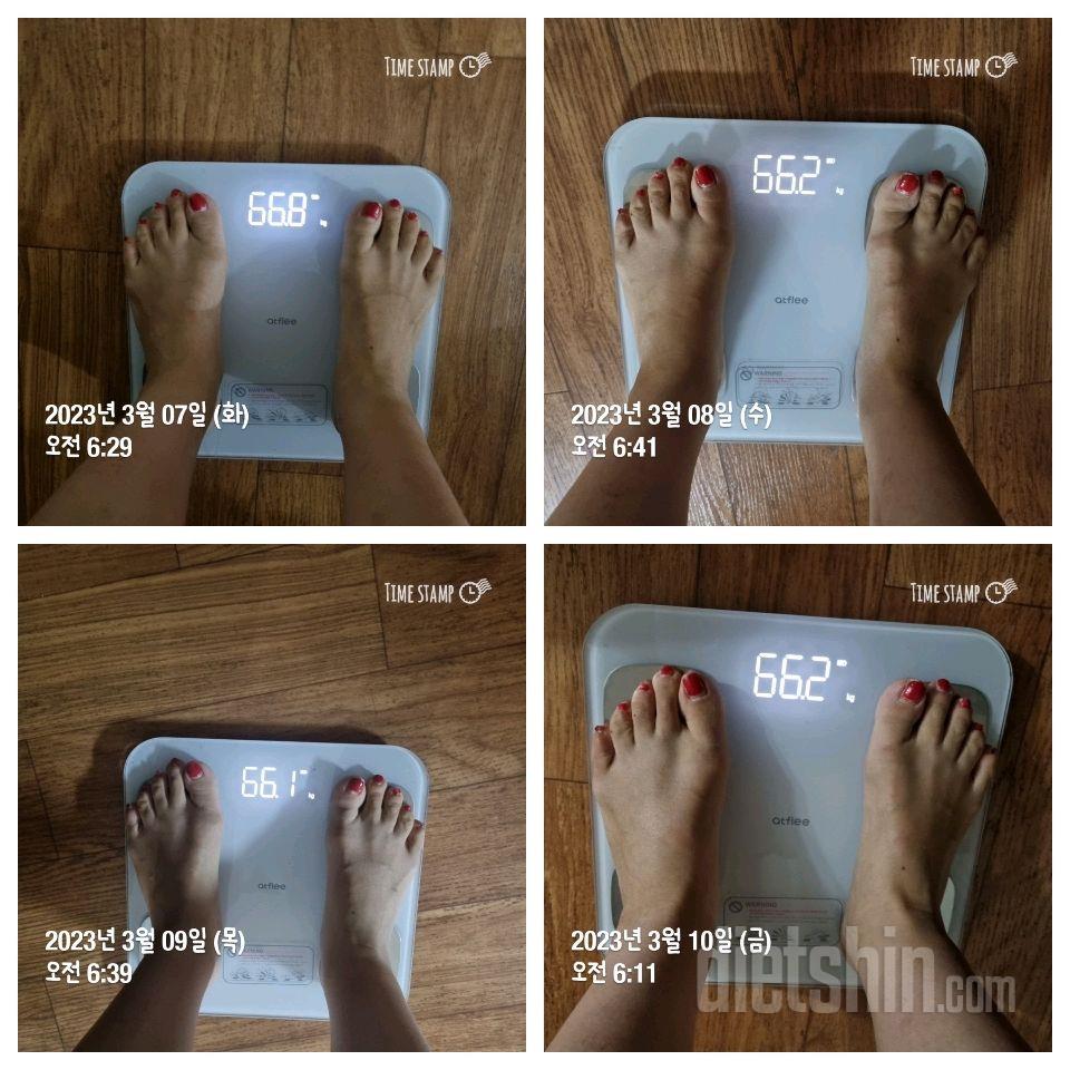 [다신18기] 10일차 : 체중변화/식단/운동