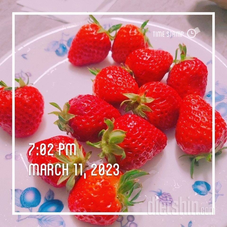 25일차> 03.11.토