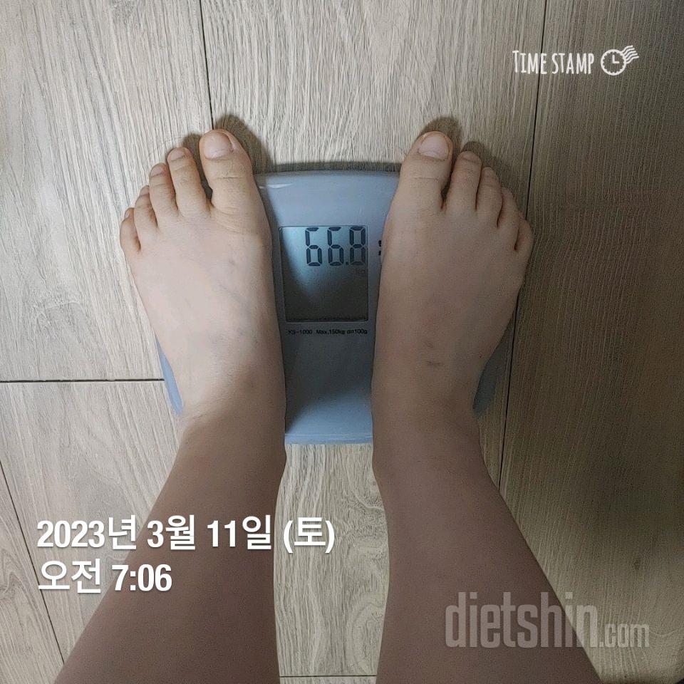 7일 아침 몸무게 재기2일차 성공!