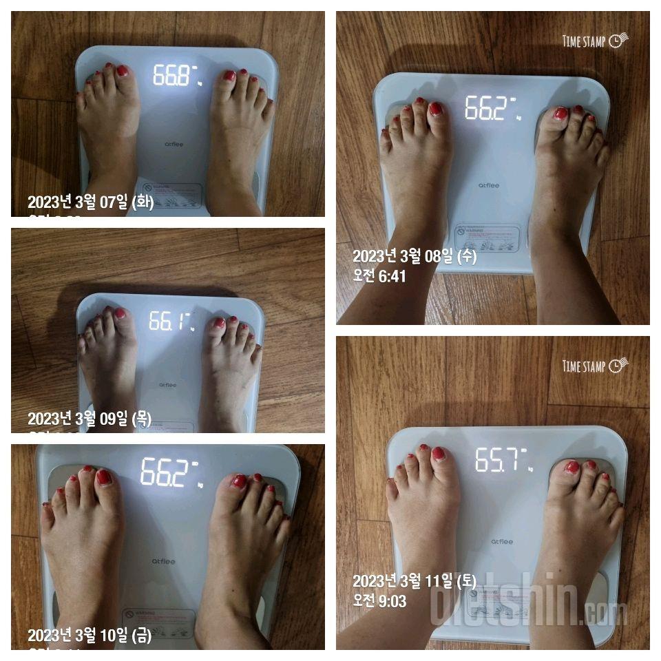 [다신18기] 11일차 : 체중변화/식단/운동