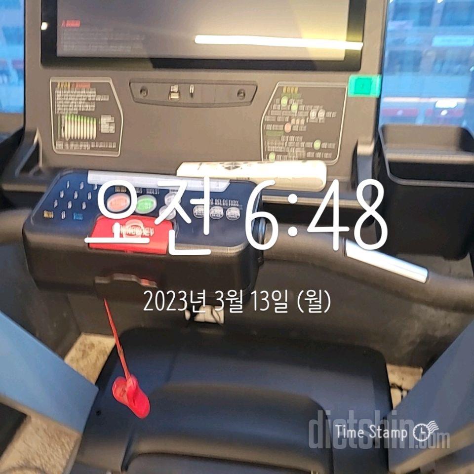 3/13일 걷기운동  공복유산소