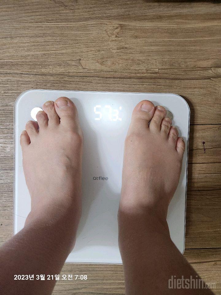 20일차 식단