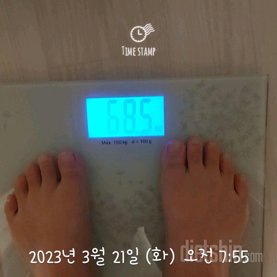 7일 아침 몸무게 재기2일차 성공!