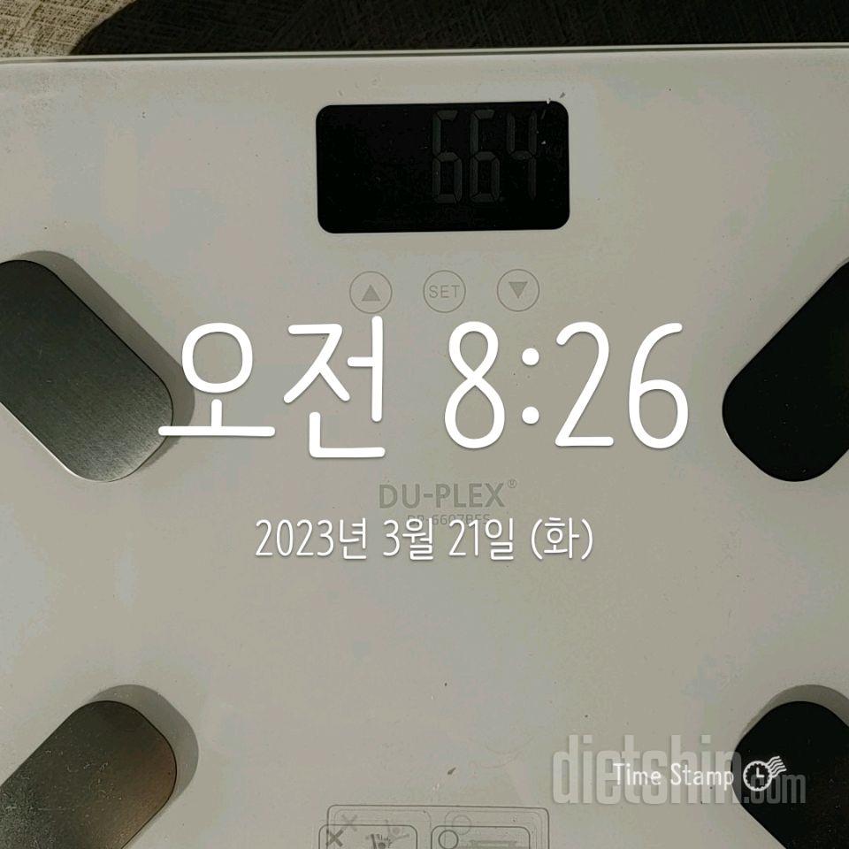 7일 아침 몸무게 재기2일차 성공!