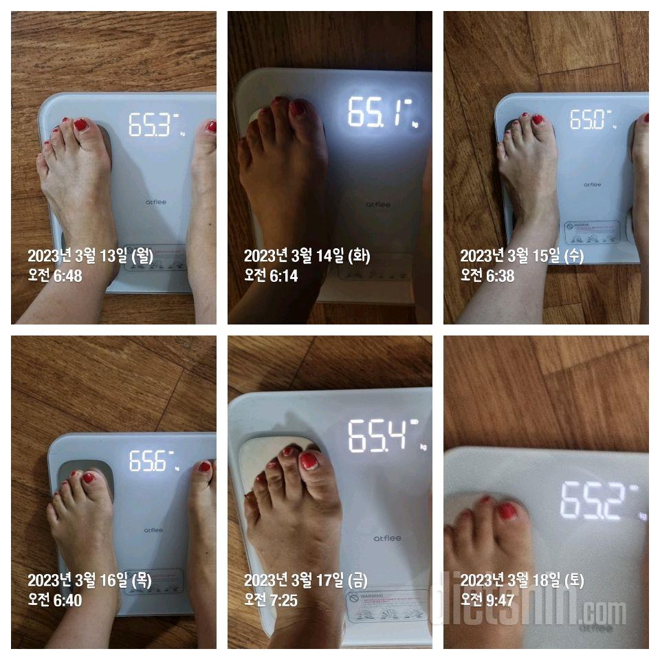 [다신18기] 22일차 : 체중변화/식단/운동
