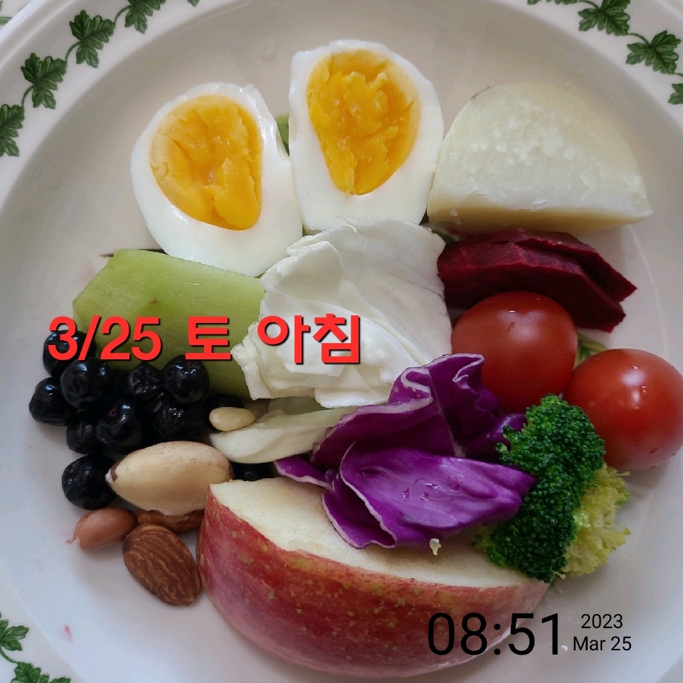 03월 25일( 아침식사 273kcal)