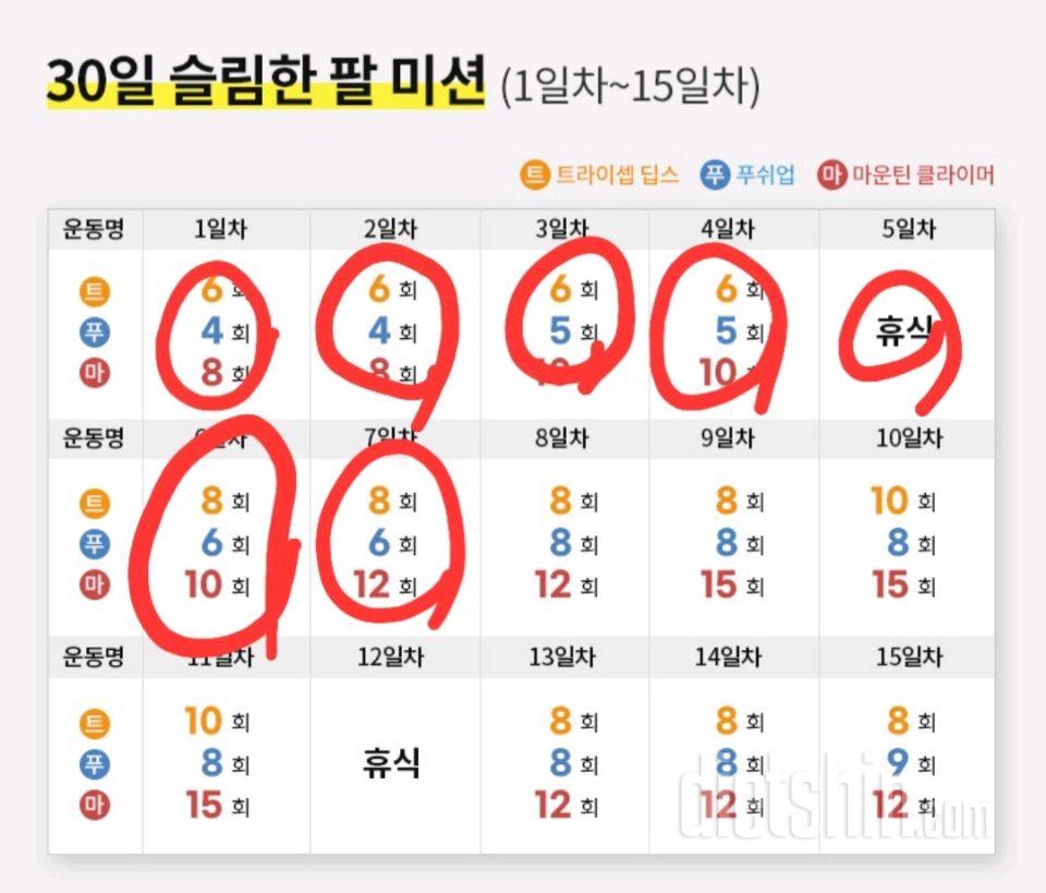 30일 슬림한 팔7일차 성공!