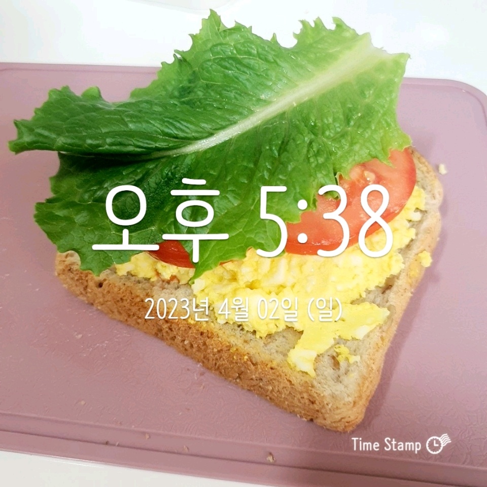 04월 02일( 저녁식사 576kcal)