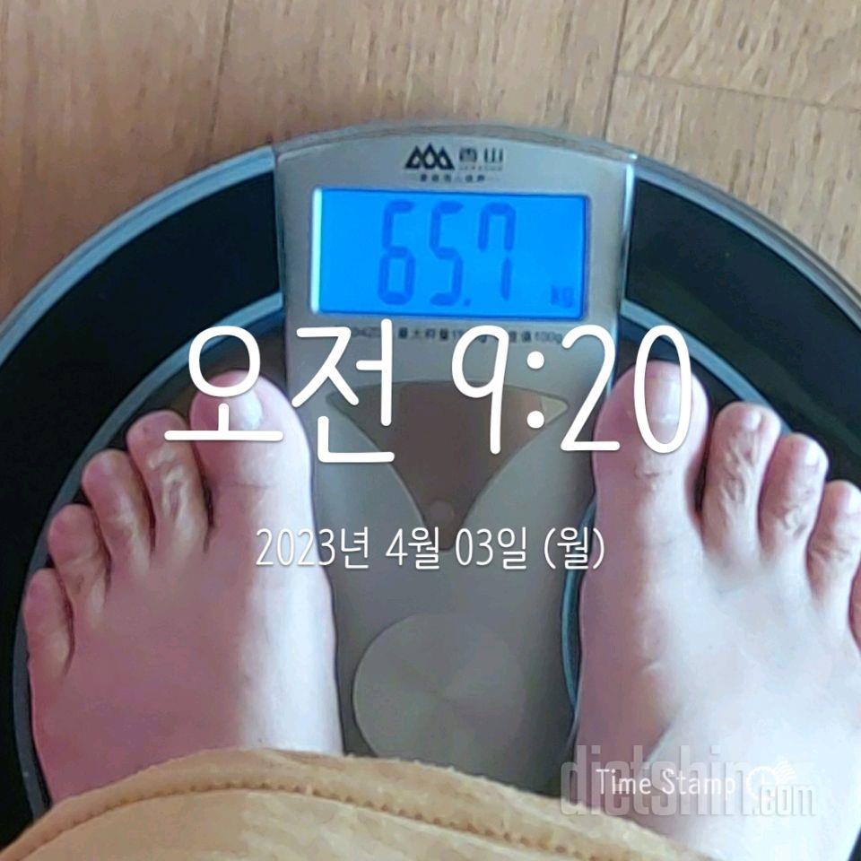 7일 아침 몸무게 재기13일차 성공!