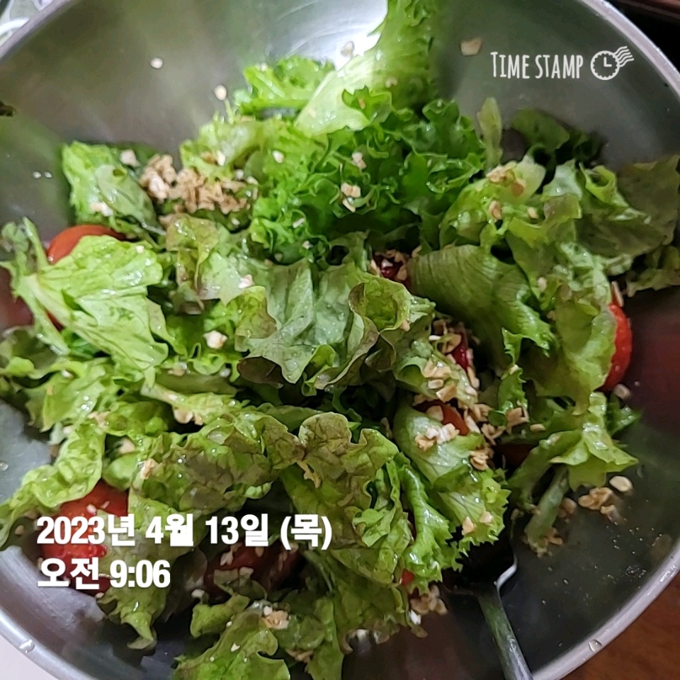 04월 13일( 아침식사 100kcal)