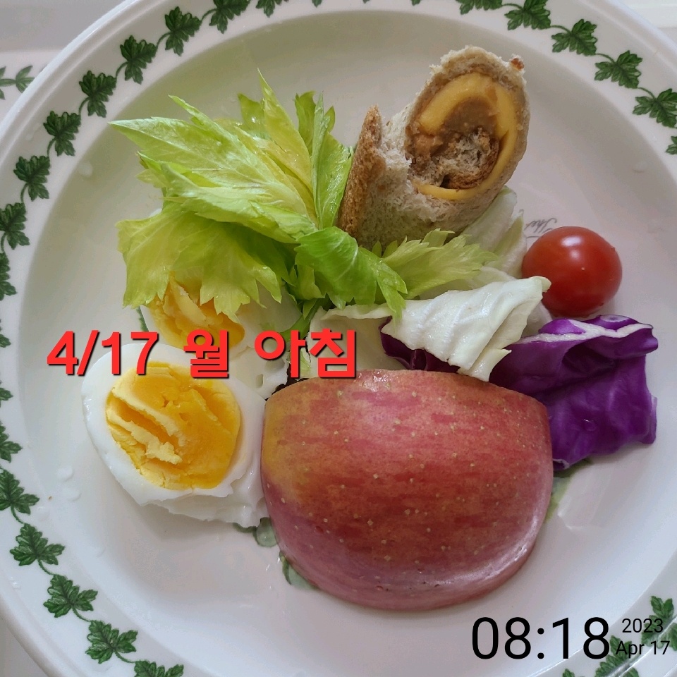 04월 17일( 아침식사 289kcal)