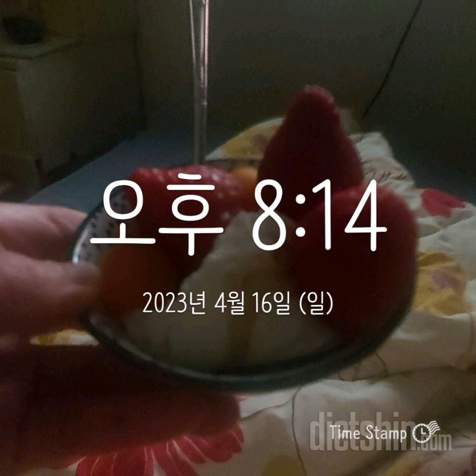 15일 3끼 식단 챌린지26일차 성공!