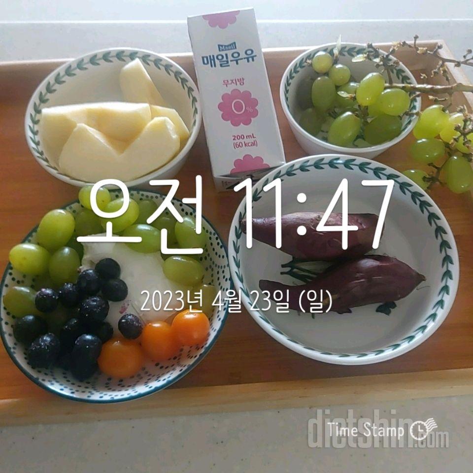 15일 3끼 식단 챌린지33일차 성공!