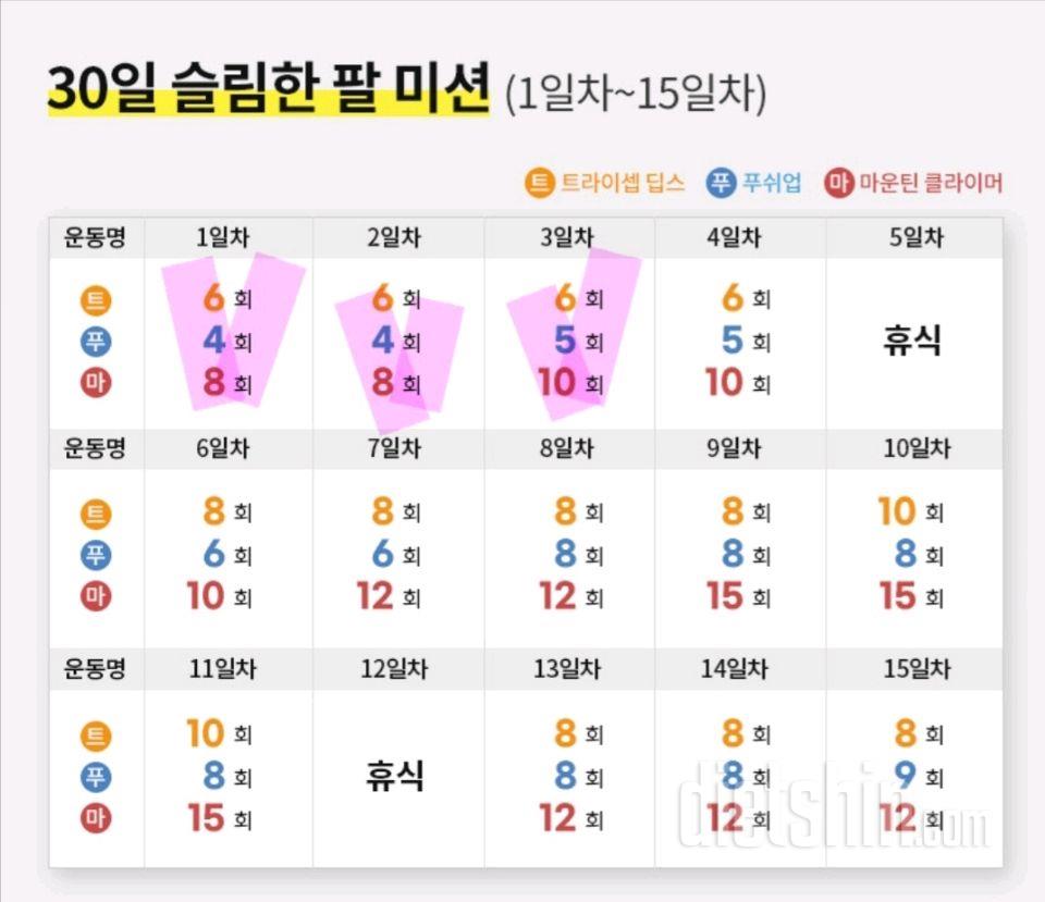 30일 슬림한 팔3일차 성공!