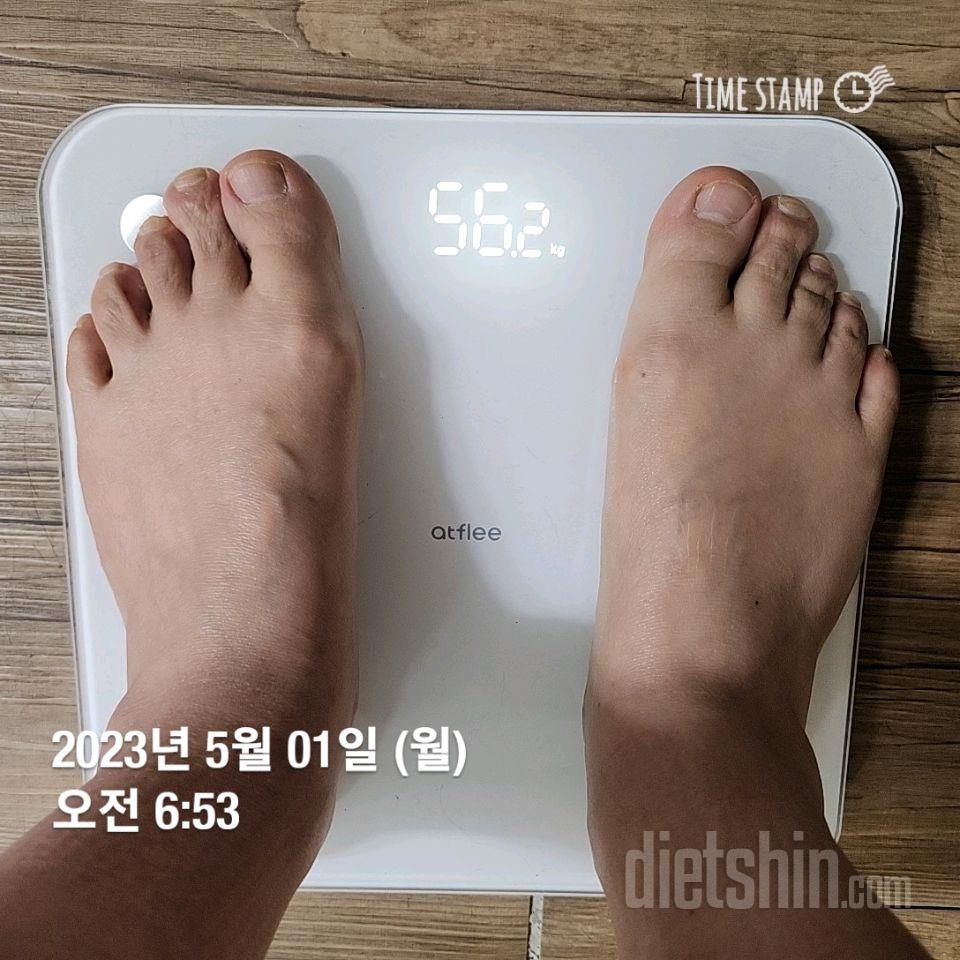 1일차 눈바디 몸무게 인증