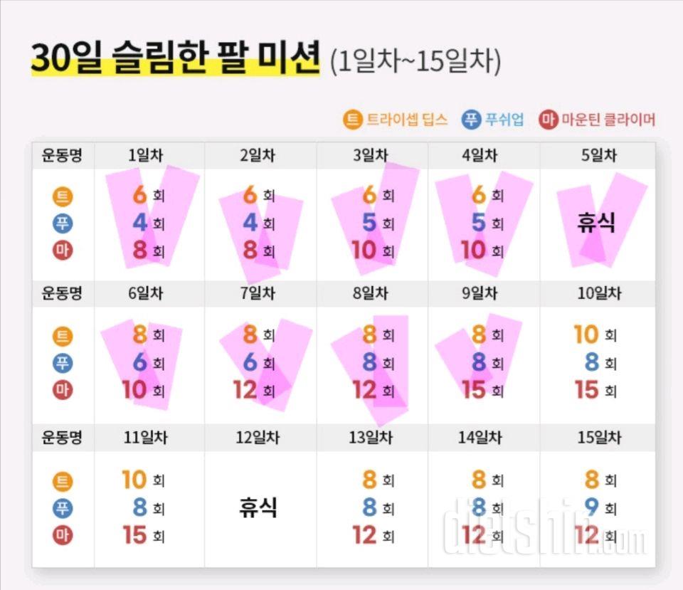 30일 슬림한 팔9일차 성공!