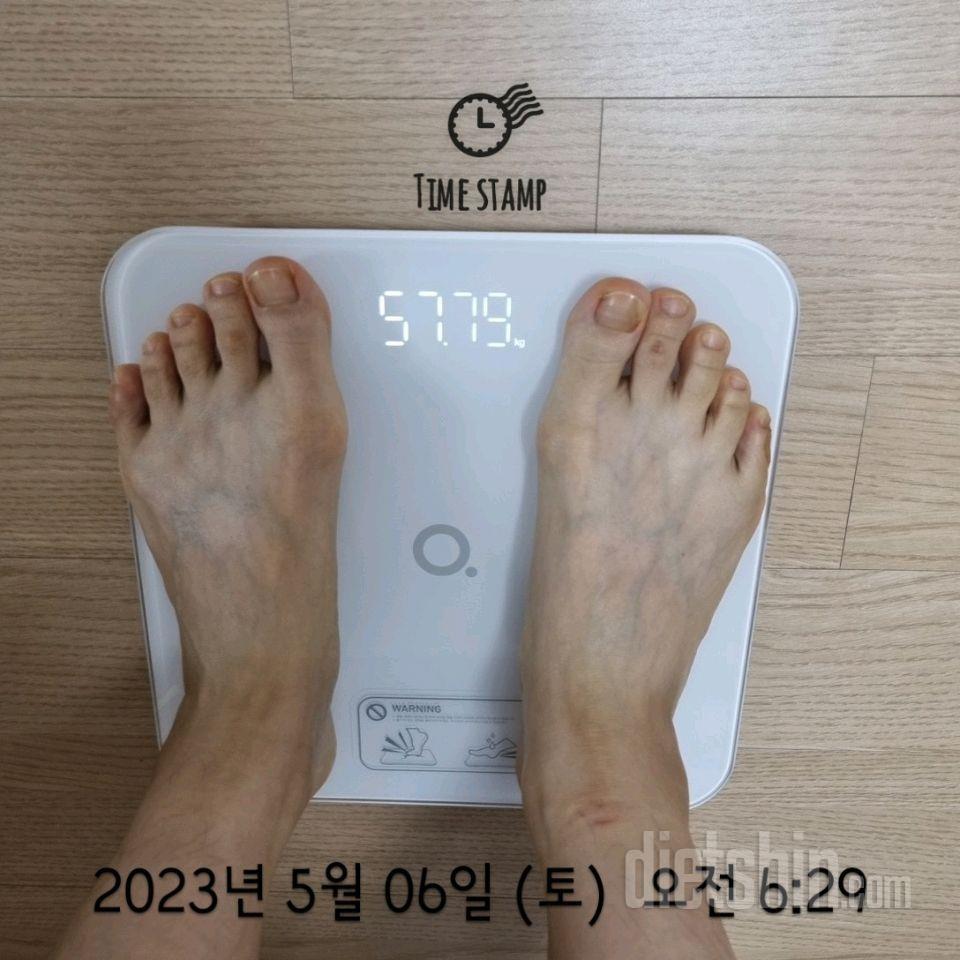 [다신19기]6일차