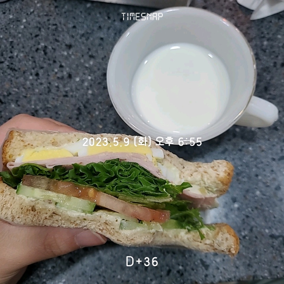 05월 09일( 저녁식사 243kcal)