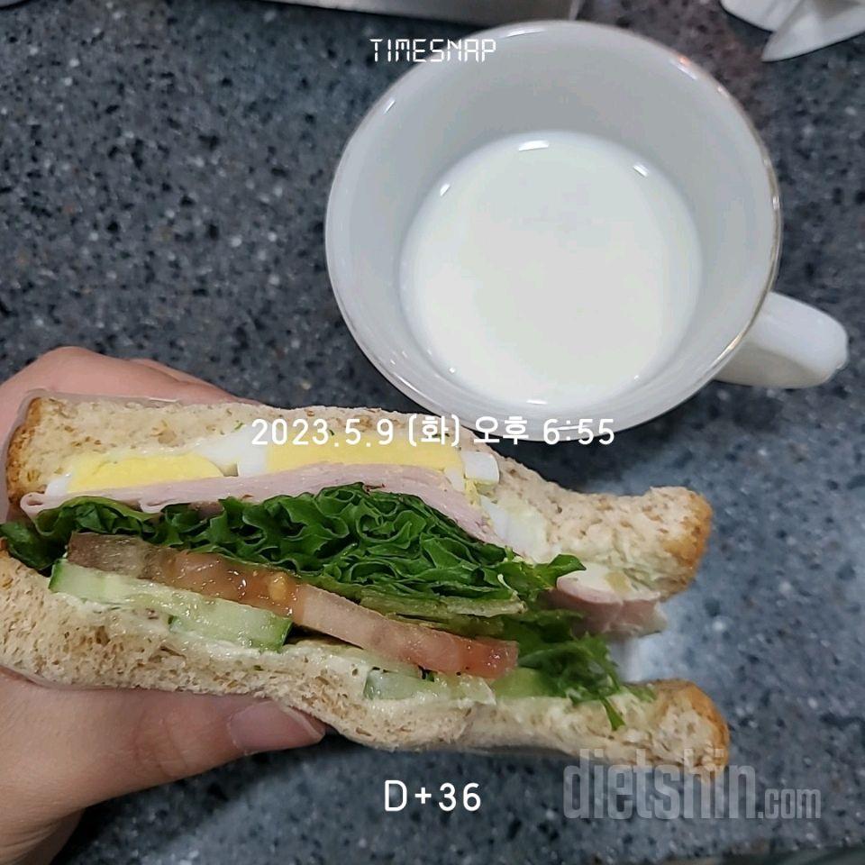 05월 09일( 저녁식사 243kcal)