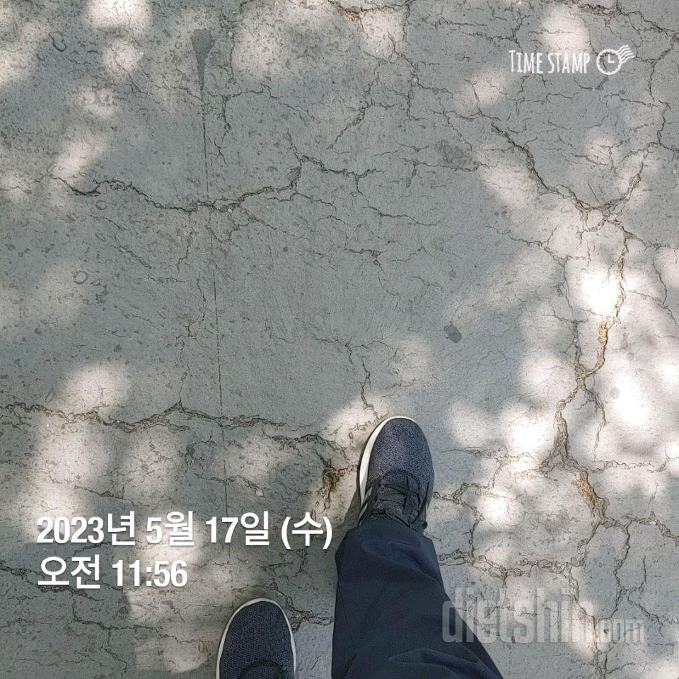 [다신 19기] 17일차 식운, 걷기 인증