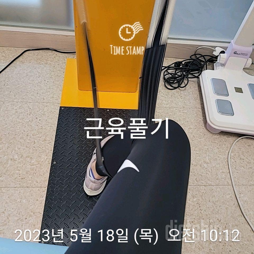 14일 식단+운동+걷기인증