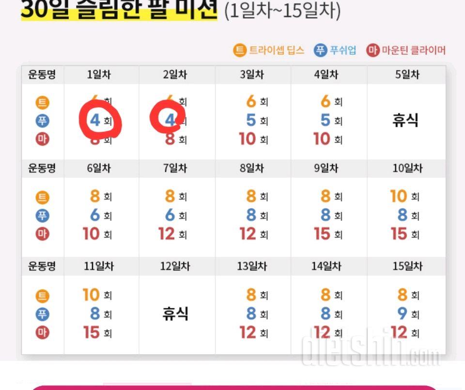 30일 슬림한 팔2일차 성공!