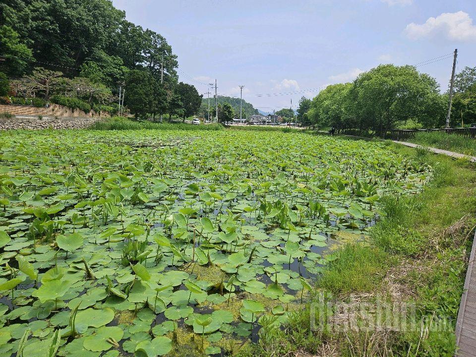 [다신19기] 20일차 식단 및 운동