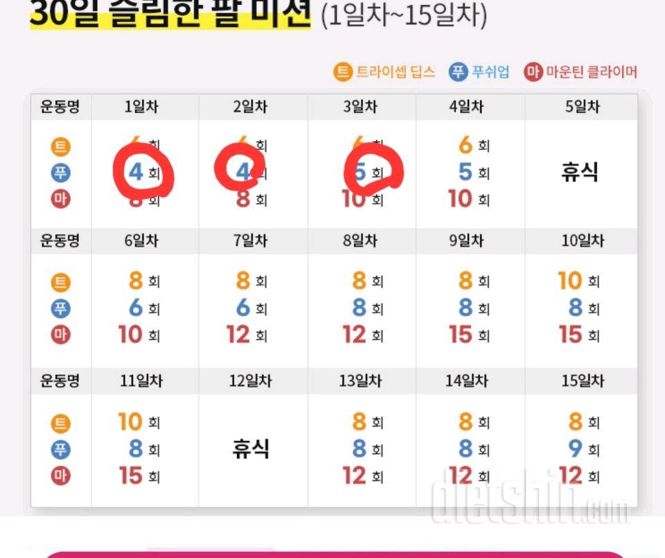 30일 슬림한 팔3일차 성공!