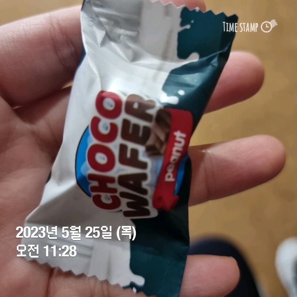 05월 25일( 오전간식 37kcal)