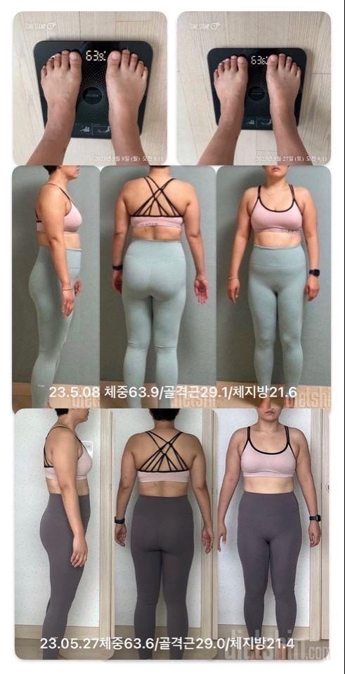 [다신 19기] 20일차 최종후기