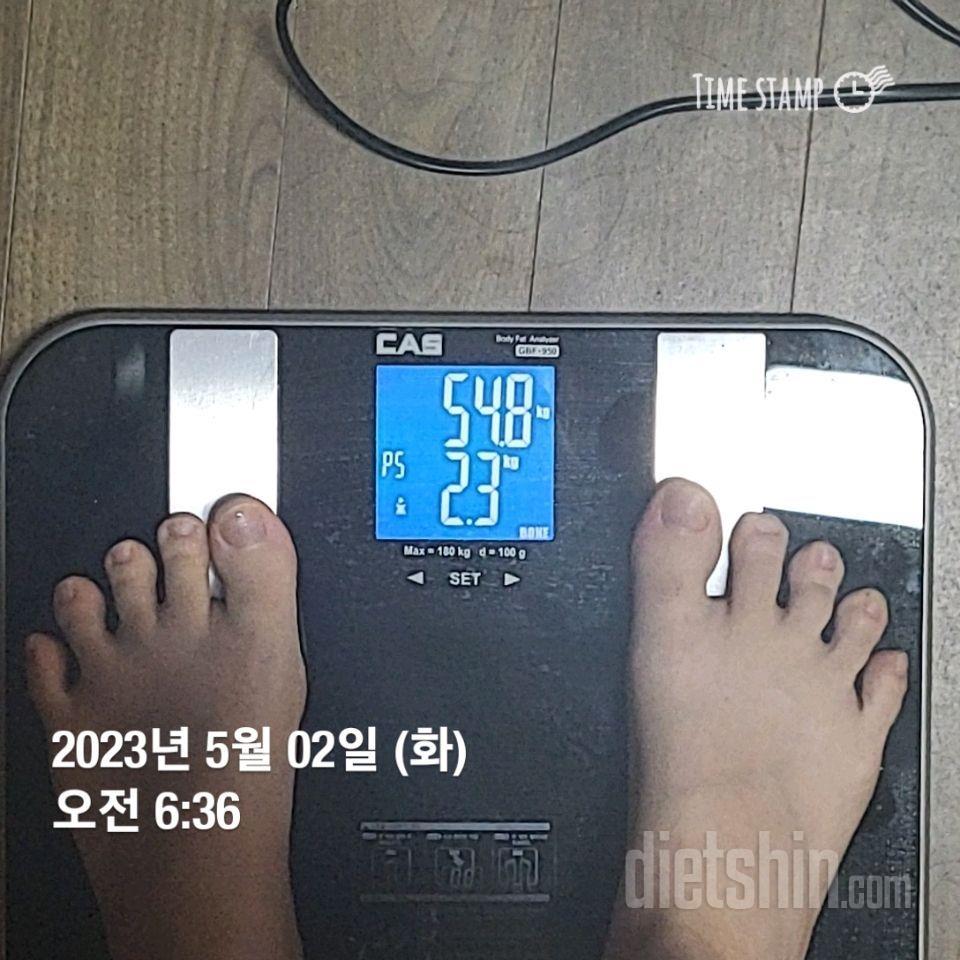 다신 19기 최종후기!!