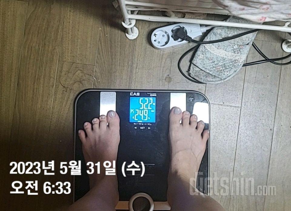 다신 19기 최종후기!!